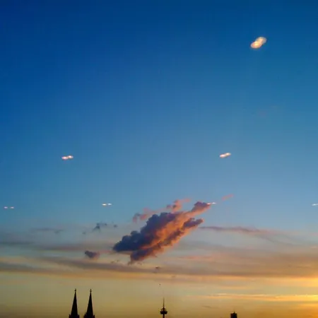 Miro Colonia